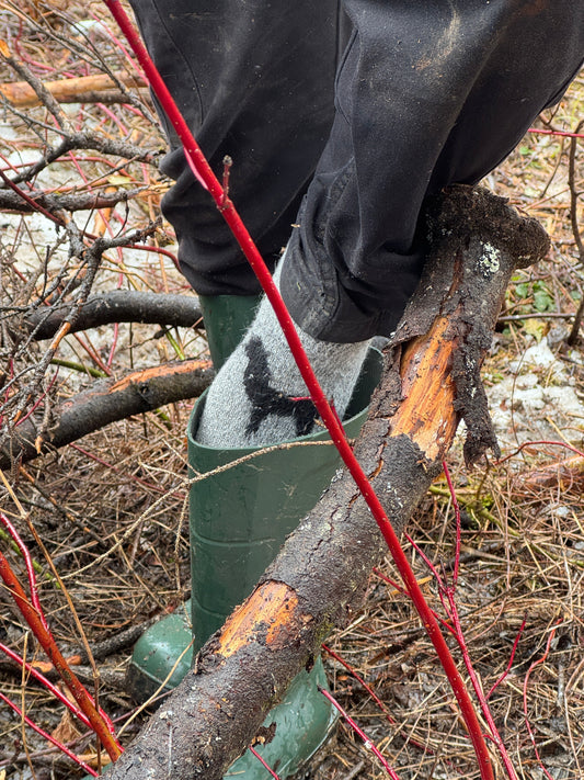 Pourquoi les gens qui travaillent à l'extérieur devraient opter pour des chaussettes en fibre d'alpaga